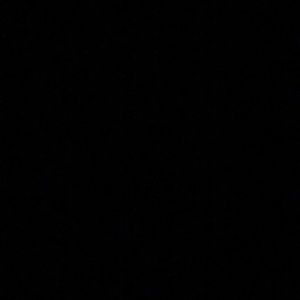 Meet your Posher, Lily